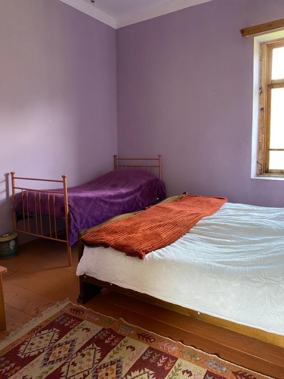 Lia Jamdeliani Guest House Bagvdanari Room photo